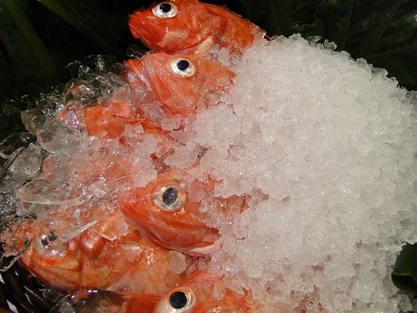 ���ν����ʱ����������ֿ�ִ���ҵ֪ͨ�㡪��������