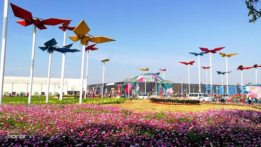 去打卡咯，里水百合花文化周1月6日开幕，数百万鲜花，8000㎡彩色玻璃屋……