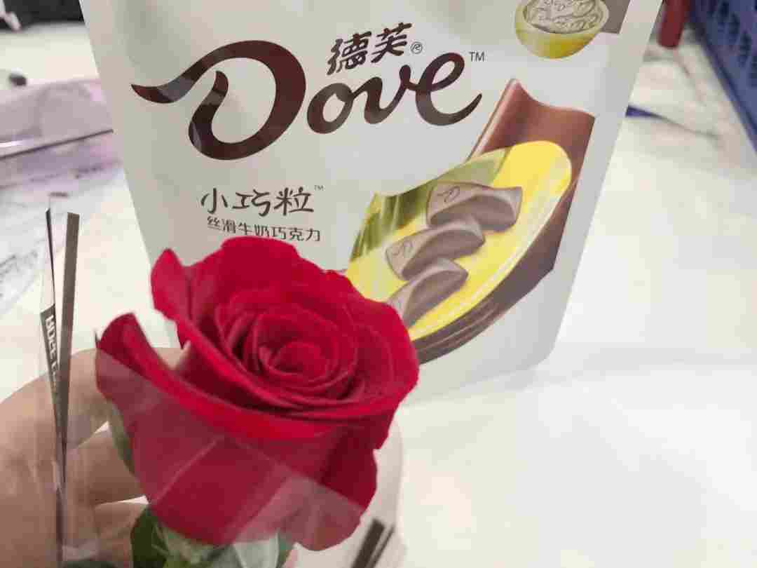 �����ֿ������Ϧ�׸���