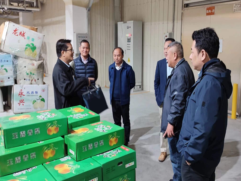 ���ָ̾�������˾������