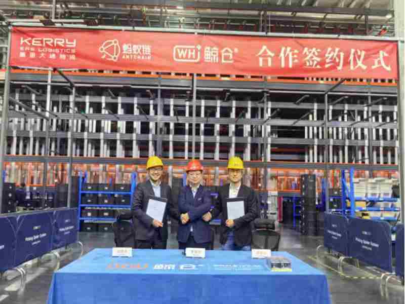 �����ͨ���������֡���������������