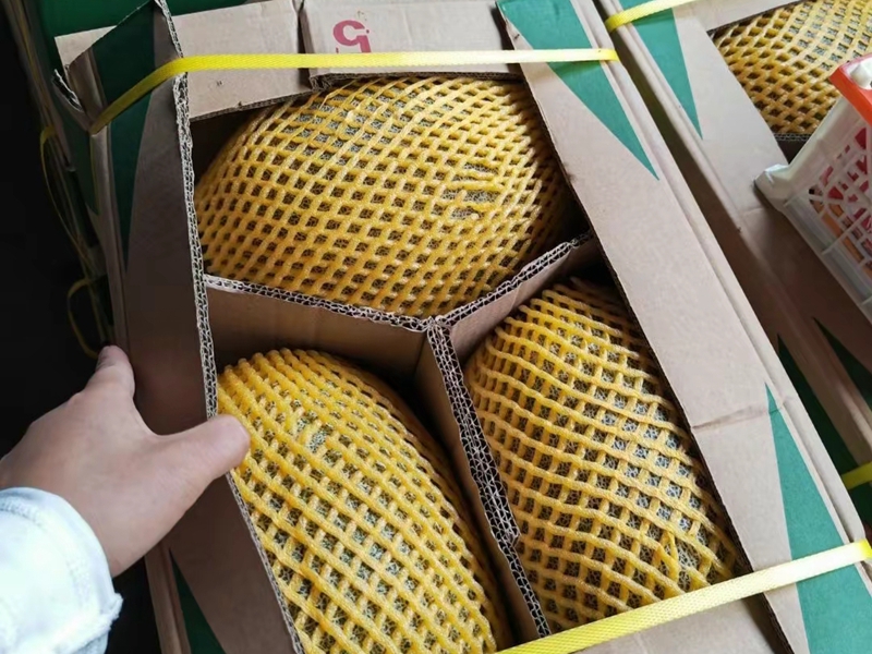 拉萨冷库与新疆哈密瓜的“甜美组合”