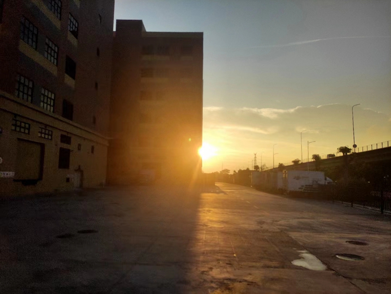 ������2024���1��������