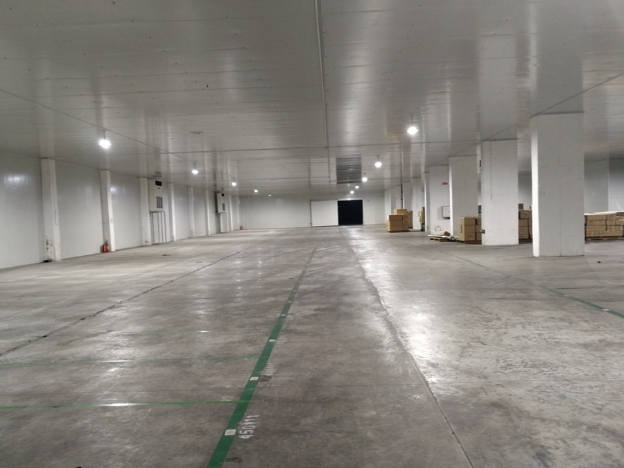 ÀÈø²Ö¿â³ö×â ÀÈø²Ö¿â³ö×â