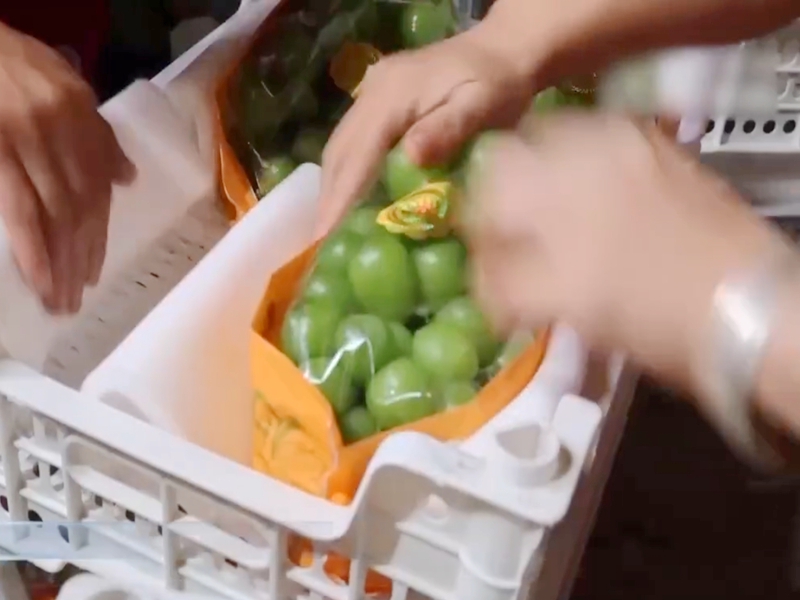 ��������������