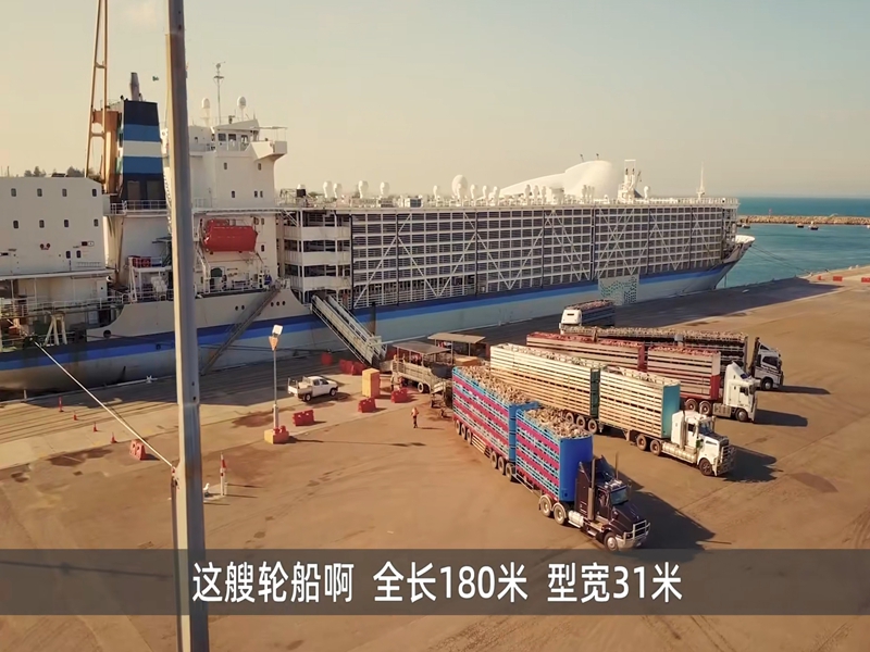 1663224957773340.jpg 1663224957773340.jpg