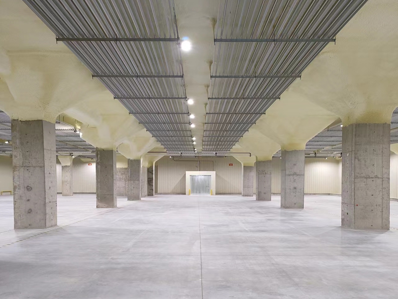 �����䶳�ֿ�