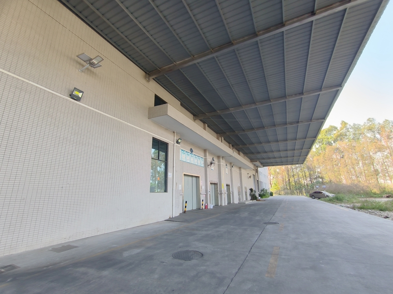 �����ֿ����