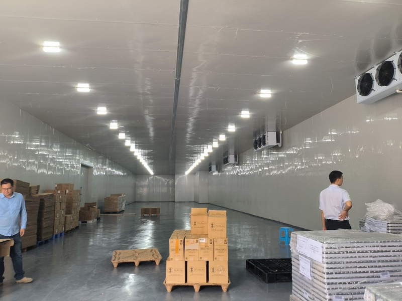 �����ֿ����