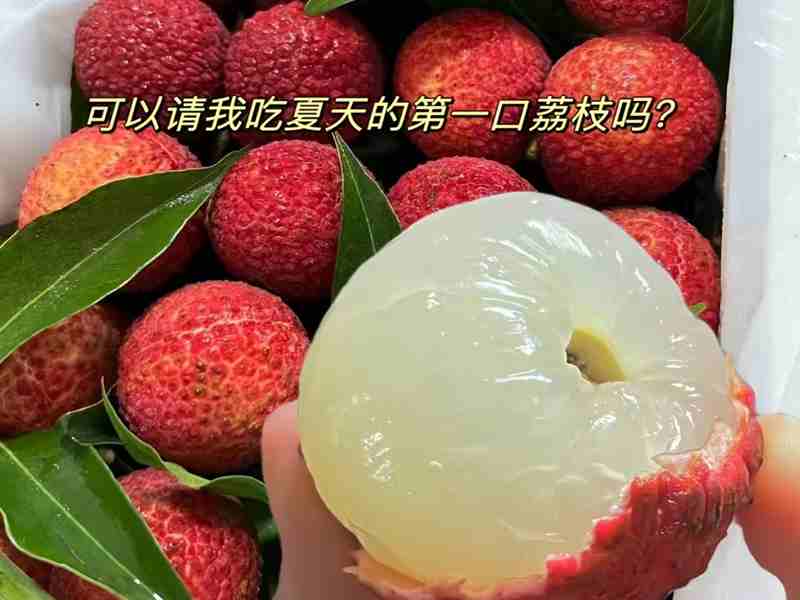 荔枝 荔枝