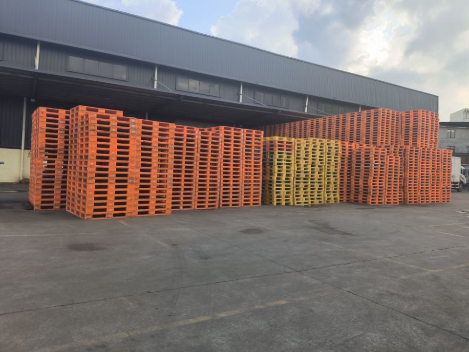 �����������ִ̲�