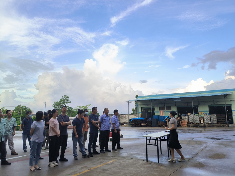 �����ֿ���⳿��