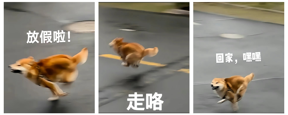 ��һ�żٱ����