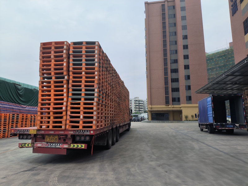 �����������ִ̲�